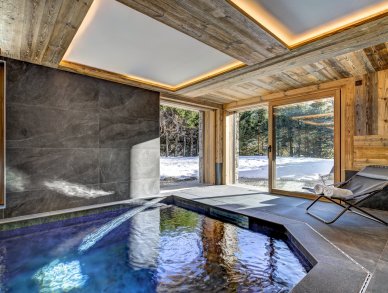 Шале Celeste Шамони