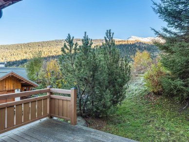 Chalet Florissant Méribel