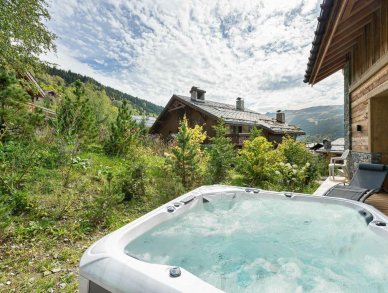 Шале Reve de Marmottes Мерибель