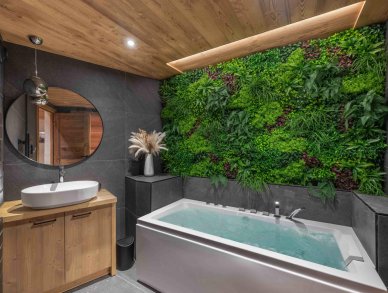 Шале Reve de Marmottes Мерибель