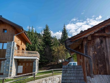 Шале Reve de Marmottes Мерибель