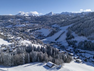 Chalet Fika Les Gets