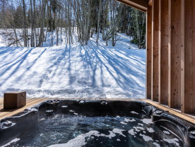 Шале Boreal Ла Плань