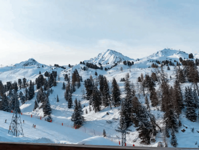 Шале Violette Ла Плань