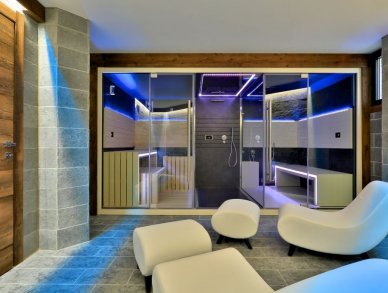 Шале Alta Шамони