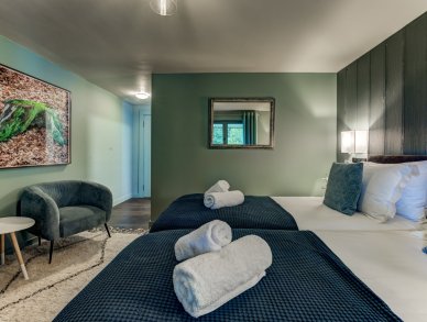 Шале Hibou Шамони