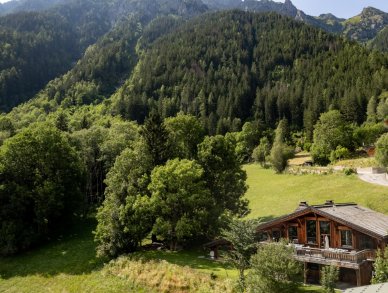 Шале Hibou Шамони