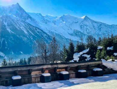 Chalet Foret Rouge Chamonix