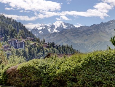 Apartment Richelieu 001 Verbier