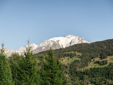 Chalet La Maille Megeve