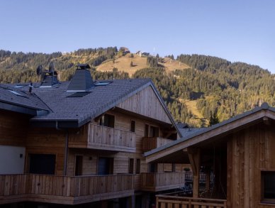 Апартаменты Les Deux Soeurs Морзин