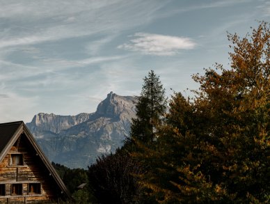 Шале Le Sarto Межев