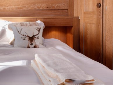 Penthouse Bois Gentil 316 Verbier