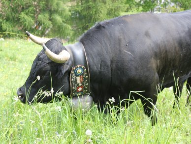 Chalet La Tzoumaz Lodge La Tzoumaz