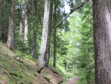 Chalet La Tzoumaz Lodge La Tzoumaz