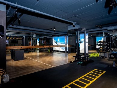 Пентхаус Falcon Вербье