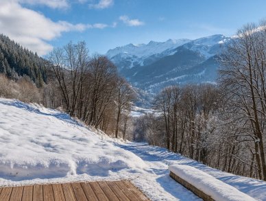 Шале Altaïs Мерибель