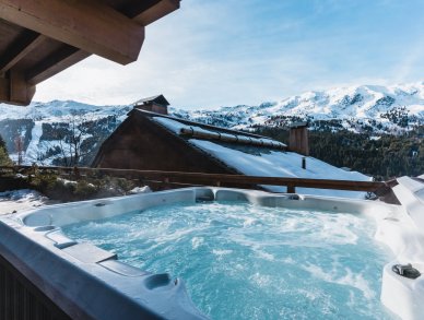 Apartment Doron Meribel