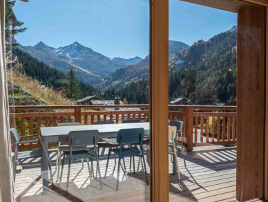 Chalet Aster Meribel