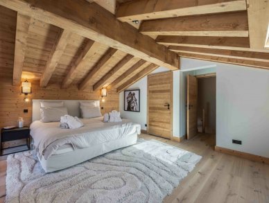 Chalet Aster Meribel