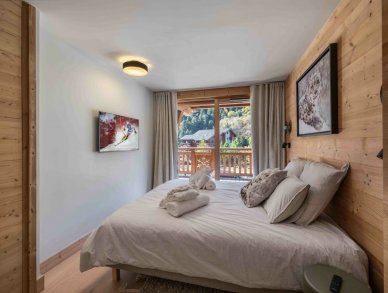 Chalet Aster Meribel