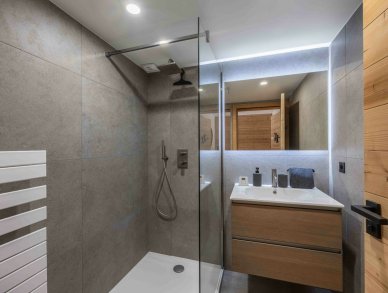 Chalet Aster Meribel