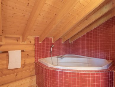 Chalet 1860 Alpe d'Huez