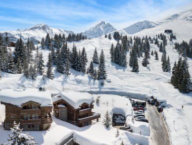 Шале Madeleine Куршевель 1850