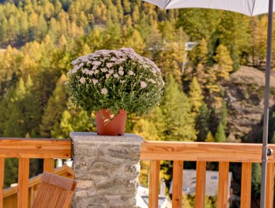 Chalet Gemini Zermatt