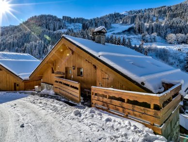 Chalet Pasarale Meribel