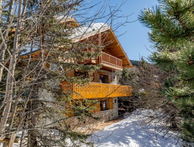 Шале Foinsbois Мерибель