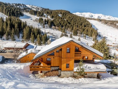 Chalet Lapin Blanc Meribel
