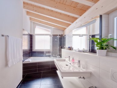 Appartement Powder Snow Zermatt