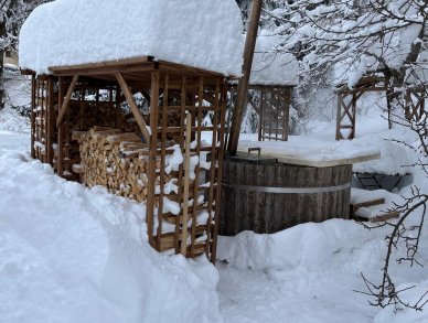 Chalet Bear Klosters