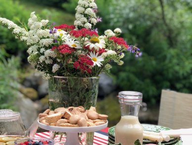 Chalet Chatel Megeve