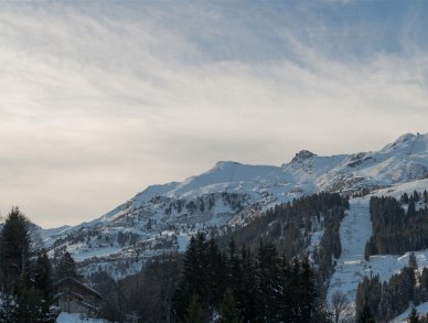 Chalet Lodge SHL Meribel