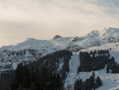 Chalet Lodge SHL Meribel