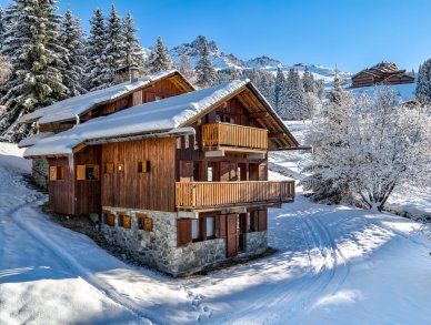 Шале Veronica Мерибель