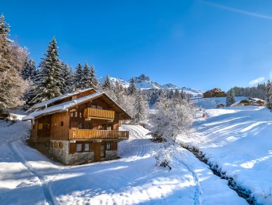 Шале Veronica Мерибель