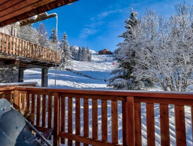 Шале Veronica Мерибель