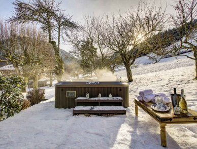 Шале Du Bois Морзин