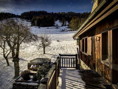 Шале Du Bois Морзин