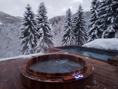 Chalet Ferme de Moudon Les Gets