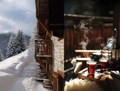 Chalet Ferme de Moudon Les Gets