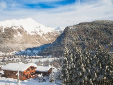 Chalet Le Cabri Morzine