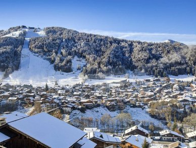 Шале Bouquetin Морзин