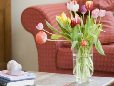 Chalet La Tillette Sainte-Foy