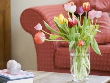 Chalet La Tillette Sainte-Foy