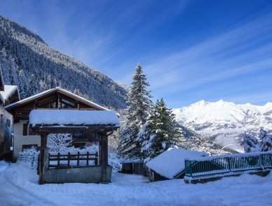 Шале Ski Villa Roger Сент-Фуа