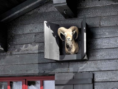 Chalet Sisimiut Courchevel 1550